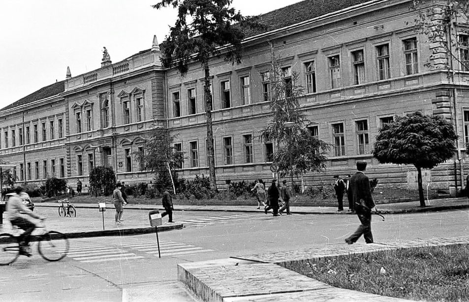 Ljuba Nešić School